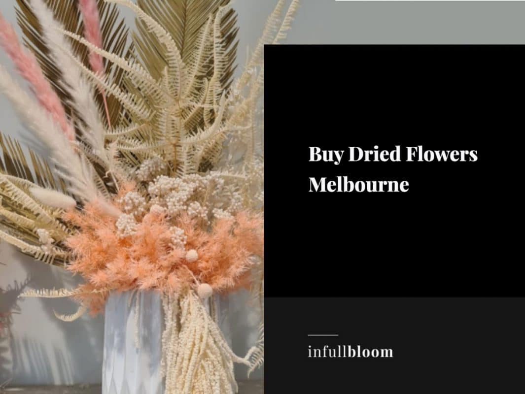 Buy Dried Flowers Melbourne