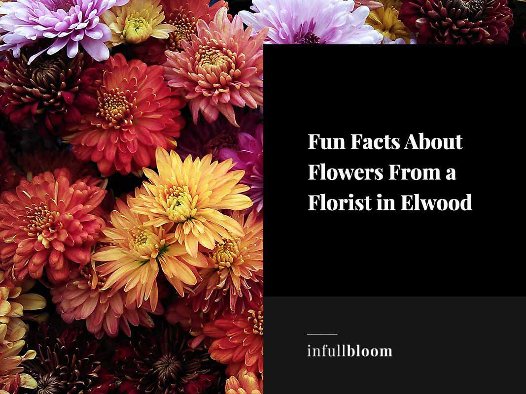Fun Facts About Flowers From a Florist in Elwood